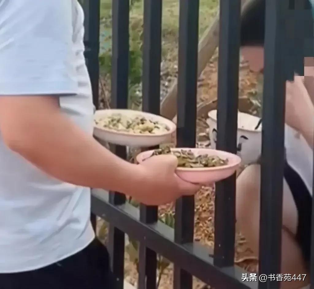 后爸为儿子做好饭菜，驱车两小时送到学校