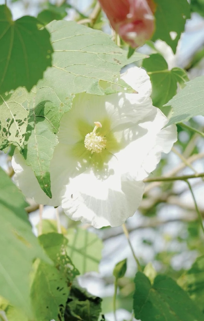 老了跟父母一起住还是分开住,人老了能和子女在一起住吗
