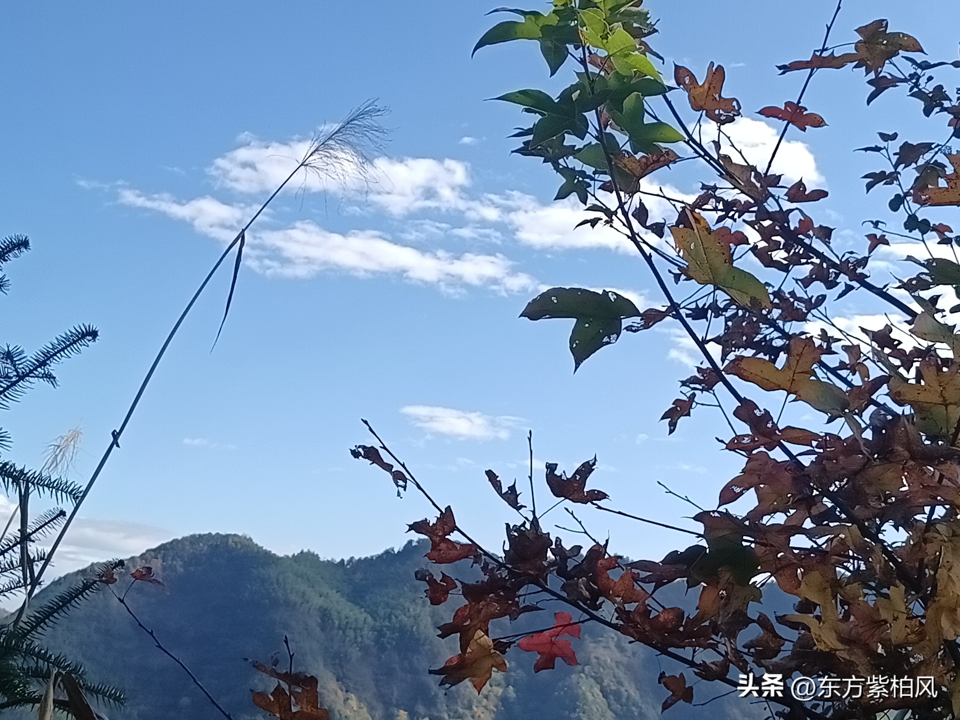 义乌大寒尖春季旅游,义乌大寒尖旅游饮食