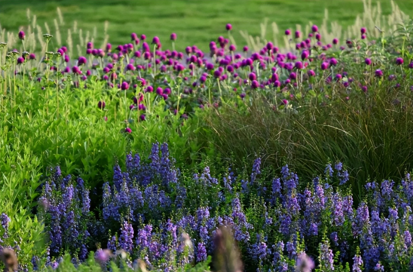 杭州莫奈花园公园,杭州莫奈花园攻略