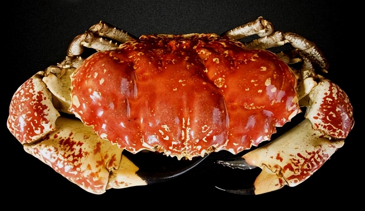 海鲜顶级食材,全球十大最贵海鲜