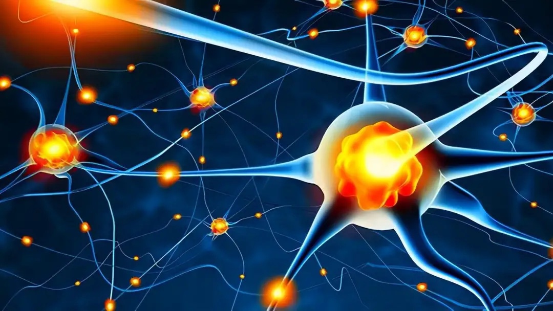 乙肝患者服用恩替卡韦药物前要注意什么？长期服用有哪些副作用？