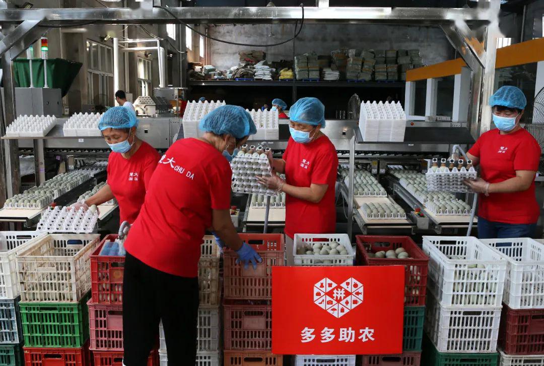 买东西是淘宝便宜还是拼多多便宜,拼多多网购便宜还是淘宝网购便宜