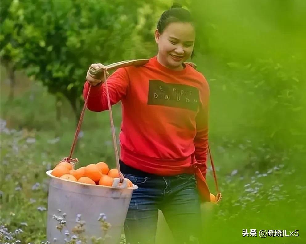 果农如何才能赚钱,果农的年收入