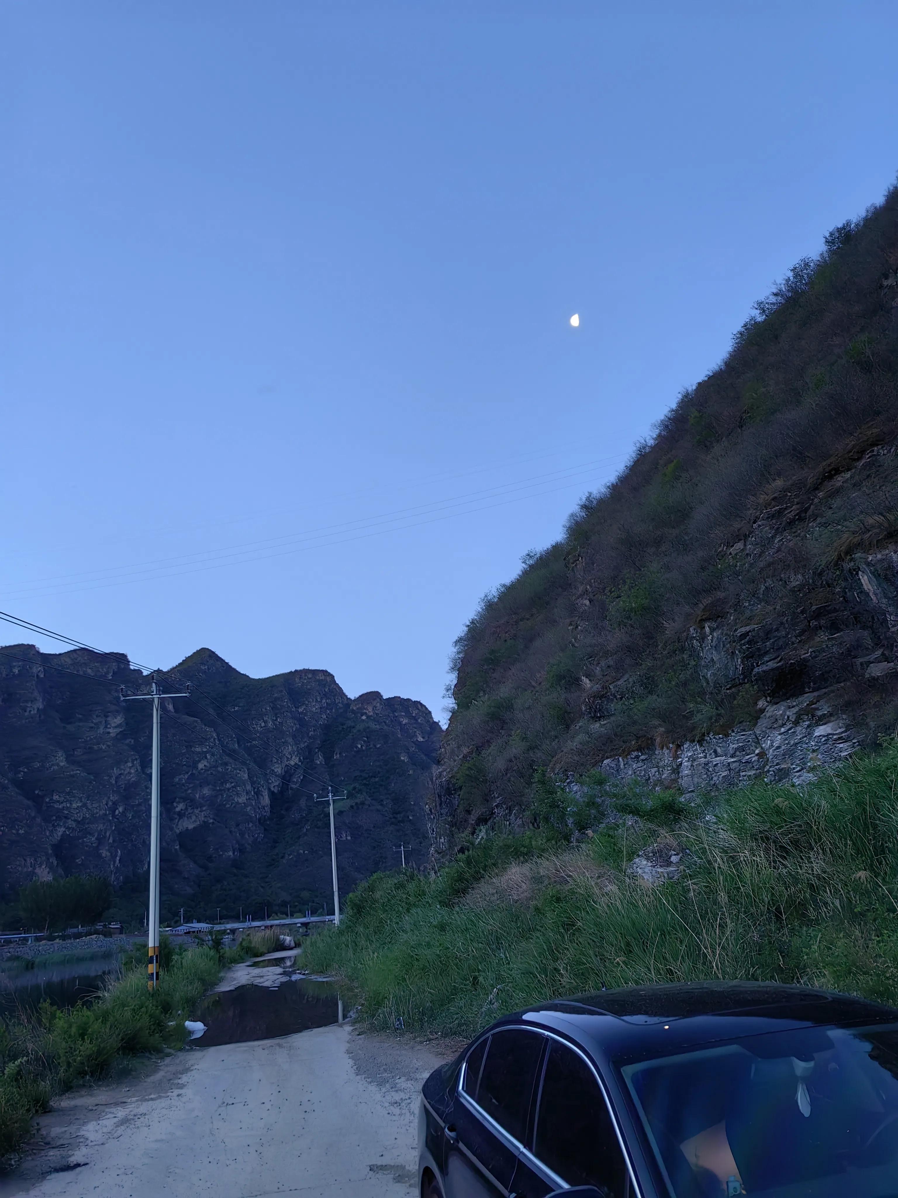 明大大原声,明大大记录生活