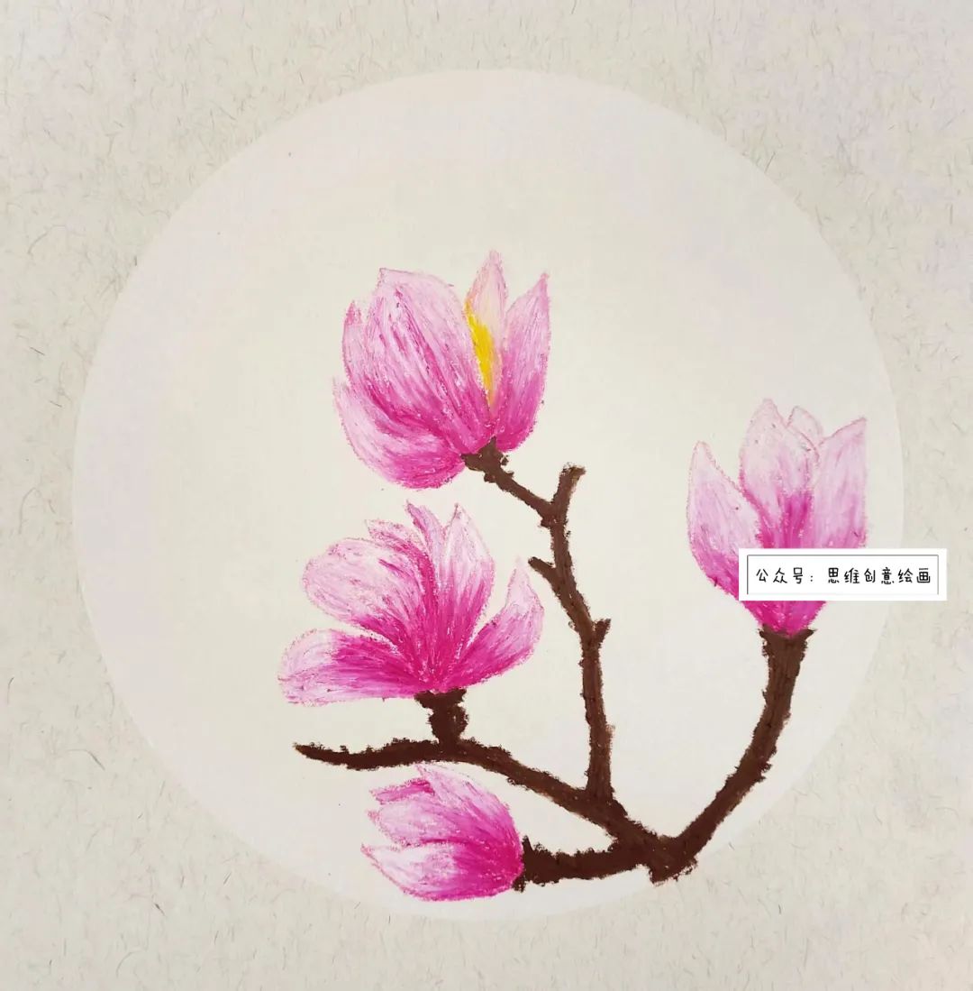 玉兰花水彩写生,玉兰写生的经典视频