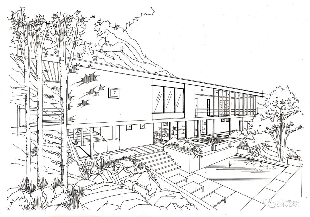 2022猫虎绘暑假手绘班招生简章「线上+线下」