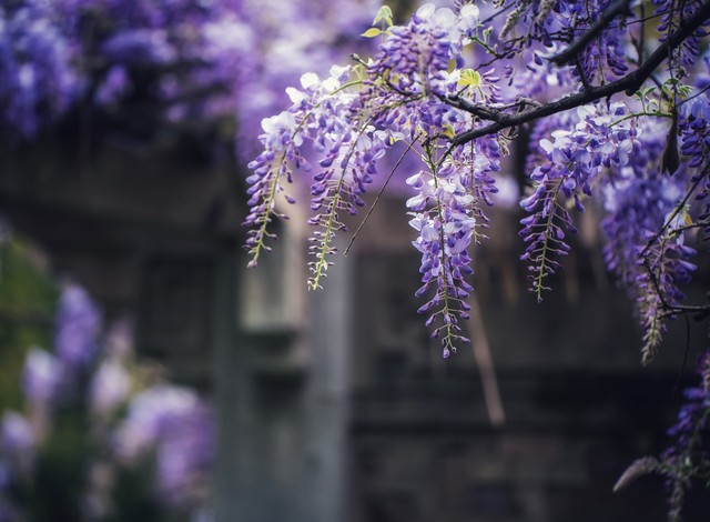 摄影如何掌握色彩搭配知识,摄影调色怎么让绿色变橙色