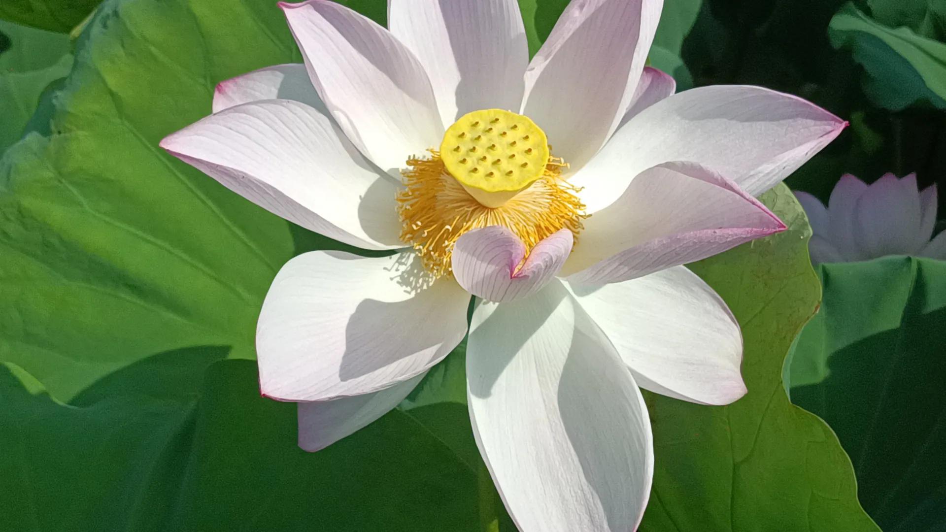 活水注入乡村振兴,乡村振兴的经验分享与最佳实践