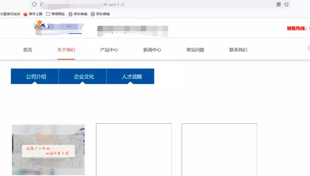 渗透测试中的漏洞挖掘与利用技术,渗透测试全套教程从原理到实战