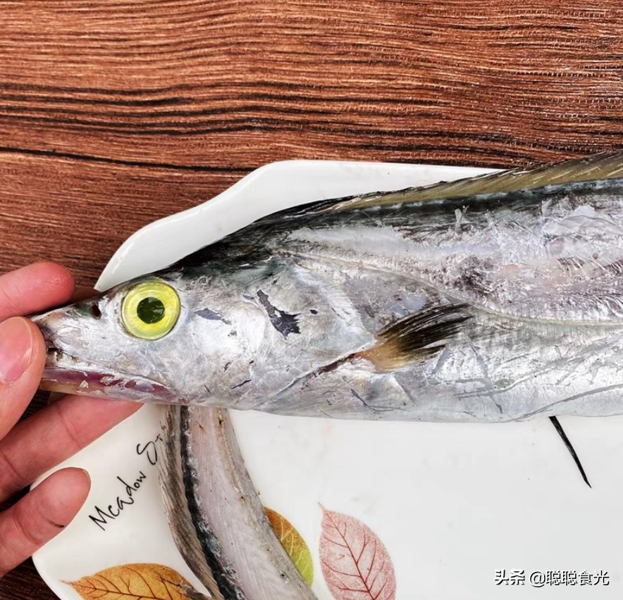 带鱼是黄眼睛的好还是黑眼睛的好,挑选带鱼黑眼睛好还是黄眼睛好