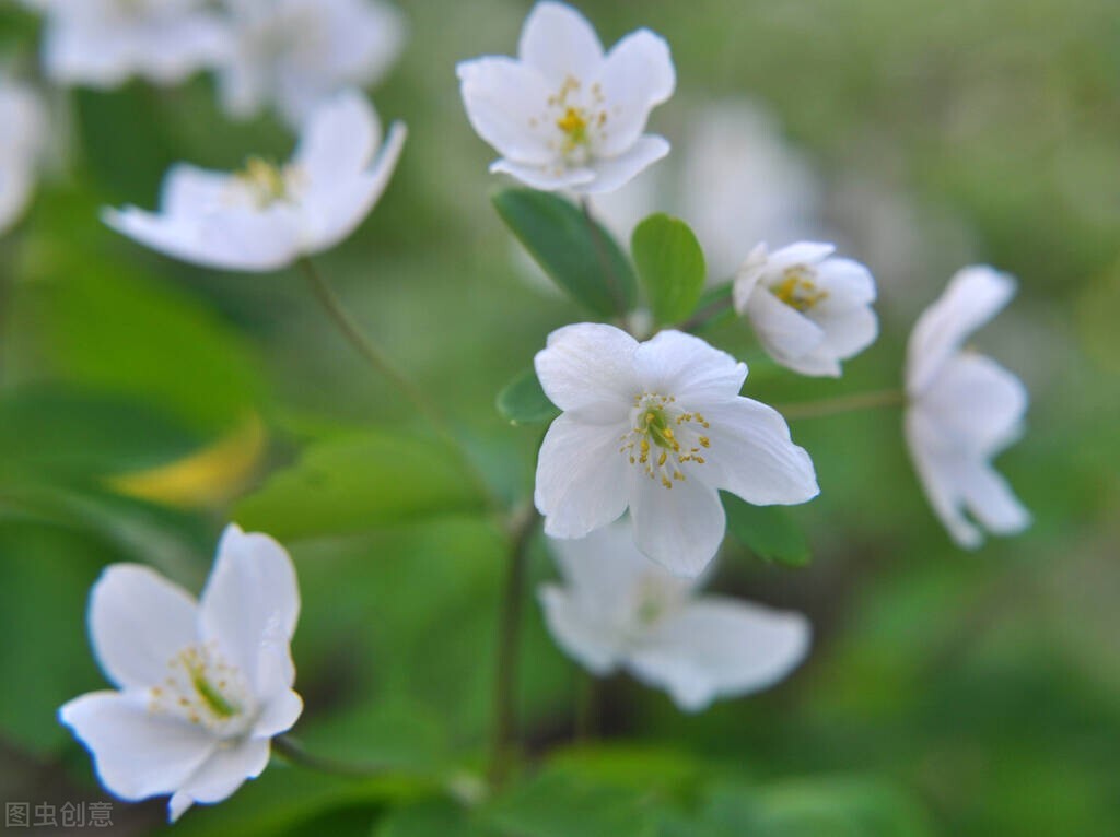 如何和对方聊得舒服,跟女孩子聊天如何引起对方的兴趣