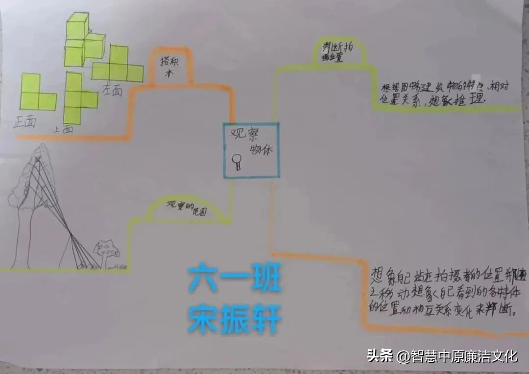 【教研动态·市府校区】不负“双减”好时光思维导图助复习