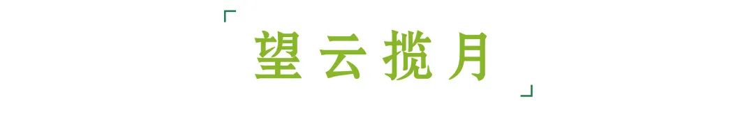 重庆绿城合院,重庆绿城御园别墅