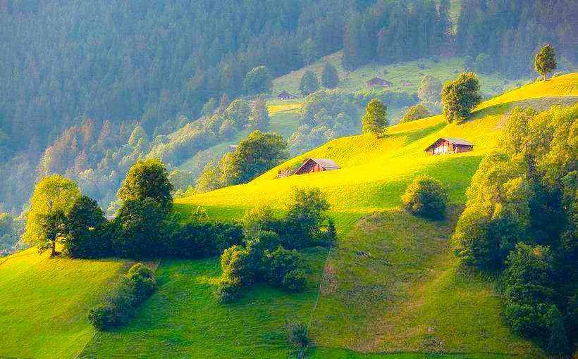 人生难得静心,人生难得清净心