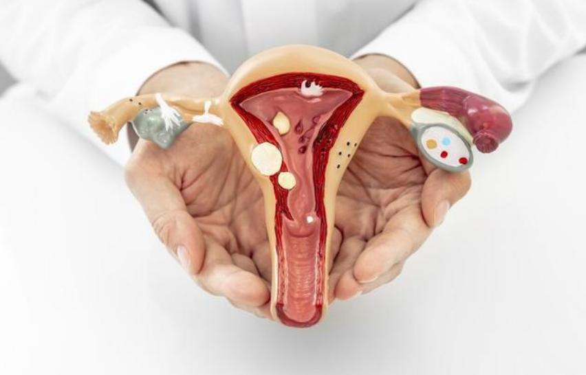 外阴特别肥大怎么回事,女生阴道有什么症状要注意身体