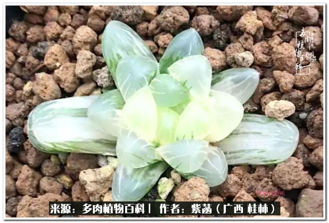 酷暑送清凉关爱入心田,酷暑慰问暖人心