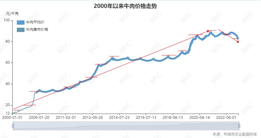 肉牛未来行情分析,国际肉牛市场行情分析
