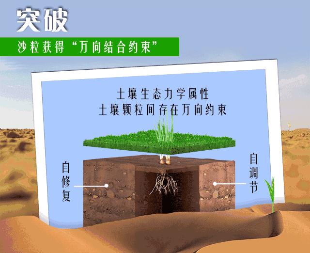 中国神奇胶水让沙漠变绿洲,中国科学家发明胶水沙子变土壤