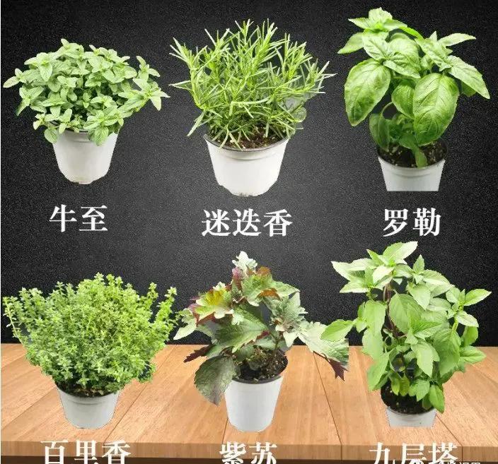 轻资产创业项目大全,人人可操作赚钱项目