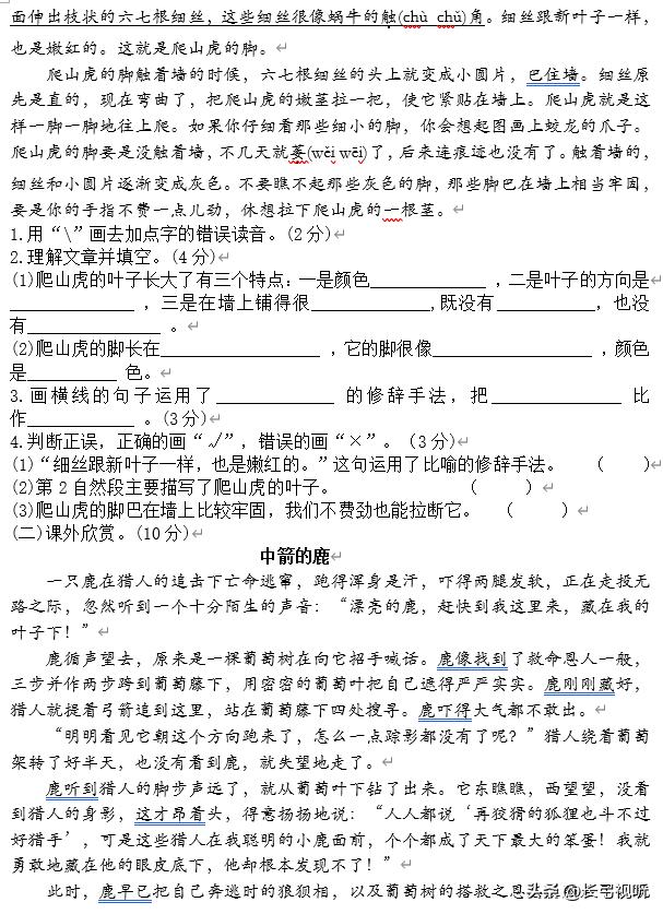 部编版四年级语文上期中考试卷,2021至2022年四年级期中试卷答案