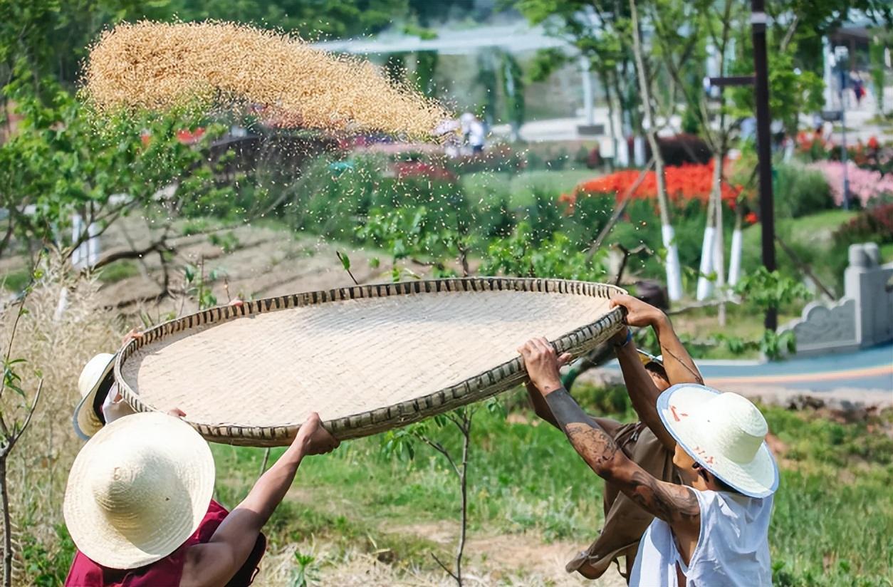 好玩的遛娃公园成都,成都南边公园免费景点