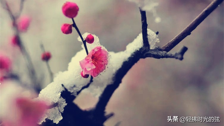 初唐四杰诗十二首,初唐四杰的名篇名句