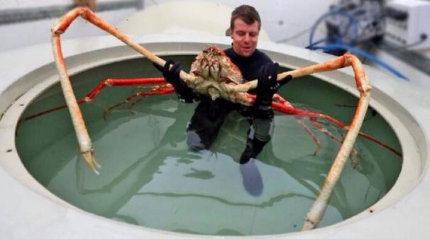 水下世界神秘视频,让人惊叹的水下视频