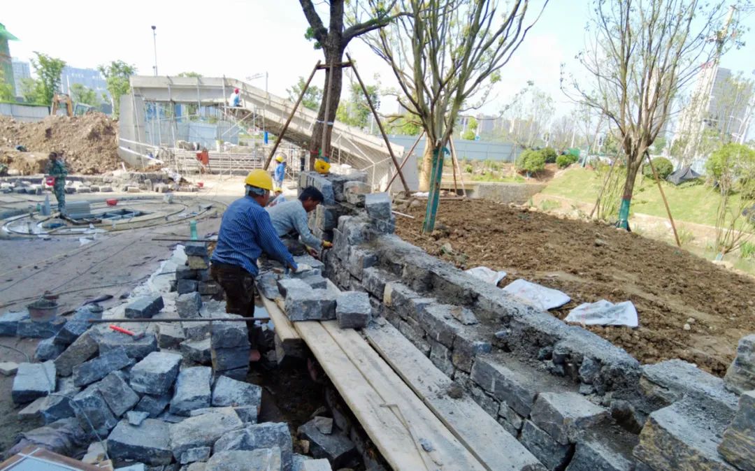 被学校包围了,被学校围绕的小区