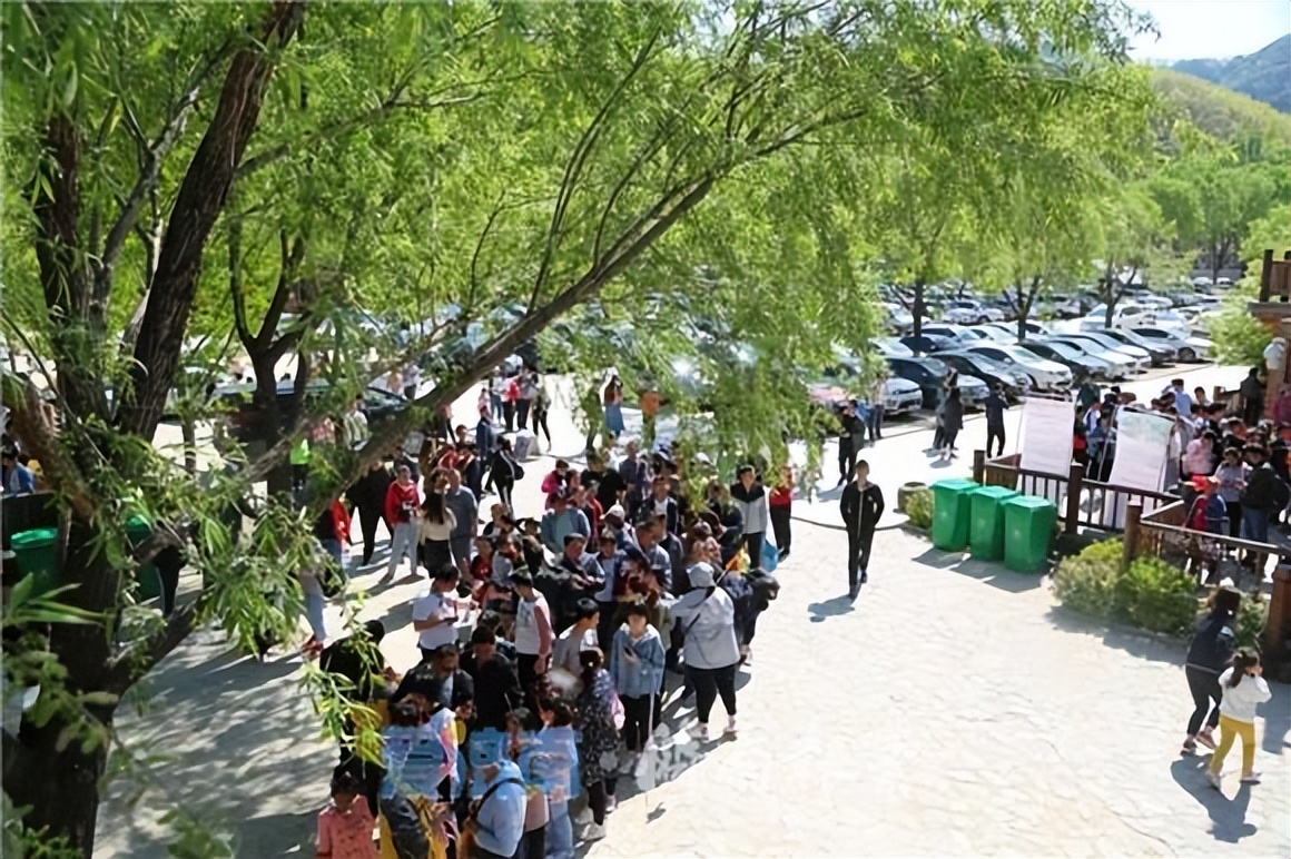 专家建议增加假期取消调休,为什么要建议取消调休