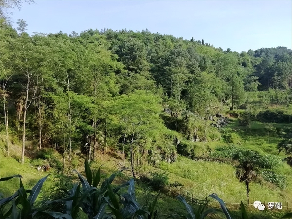 鐭虫湪灞卞,鐭虫湪瀵ㄥソ椋庡厜