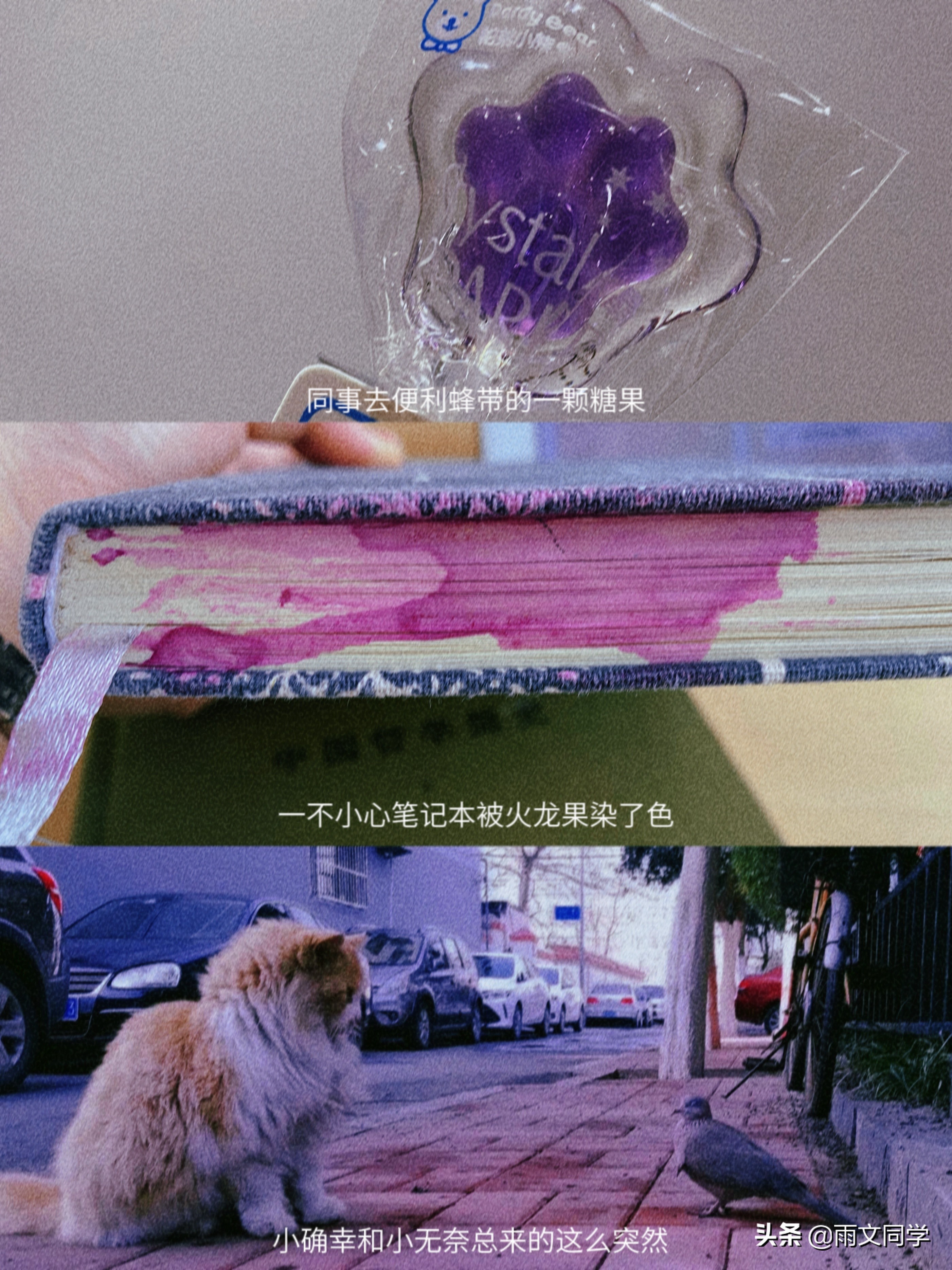 关于吃烧烤的周记400字,吃烧烤的周记不少于500字