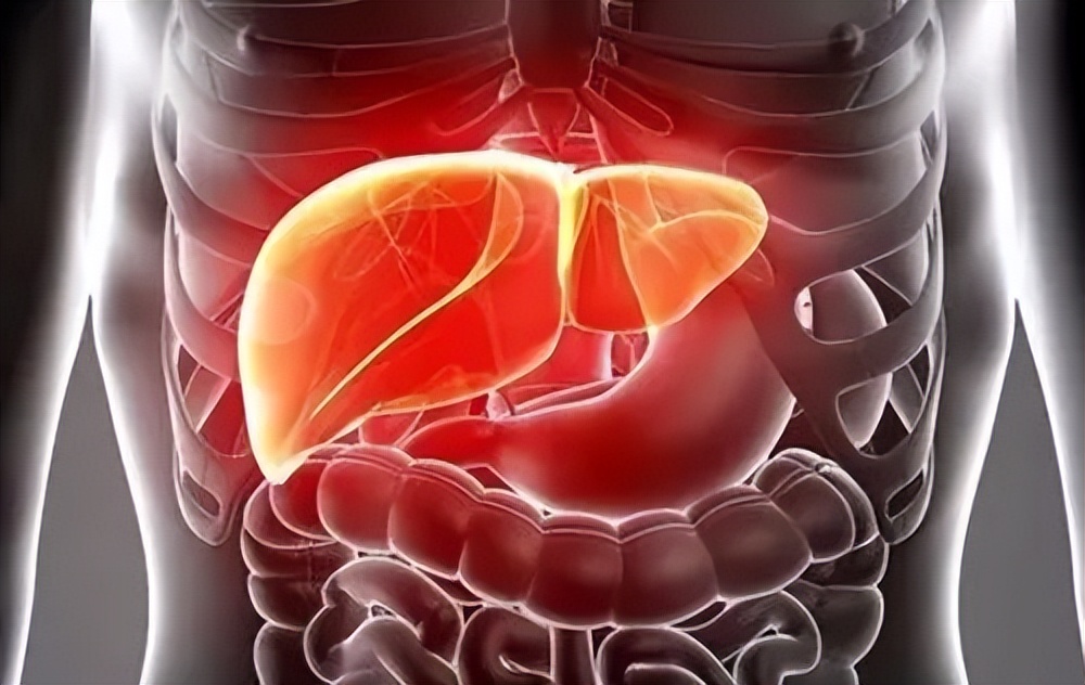 野生蒲公英降血糖,蒲公英是糖尿病的克星吗