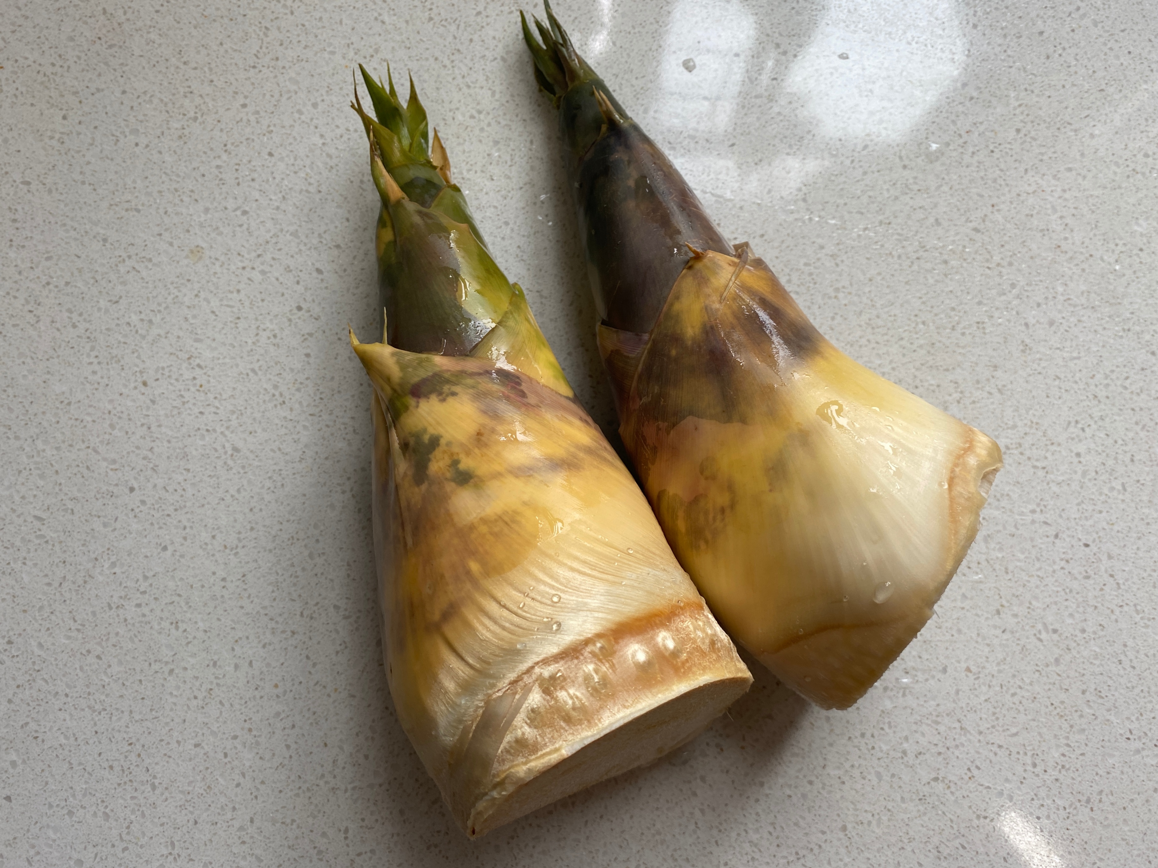 冬笋春笋哪个季节吃最好,吃笋刮油冬笋和春笋差异还真大