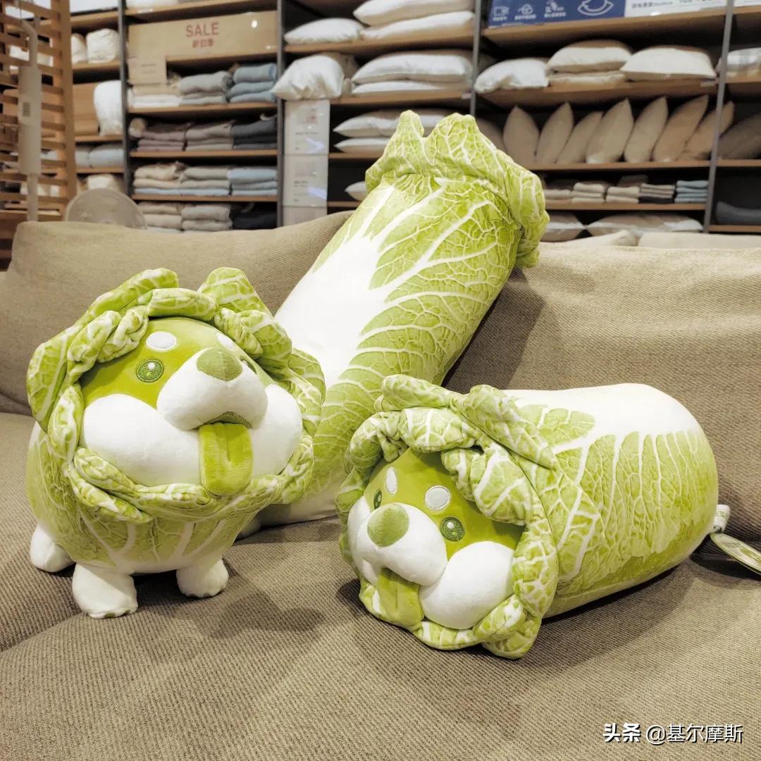 基金经理简介搞笑,十个基金经理名字