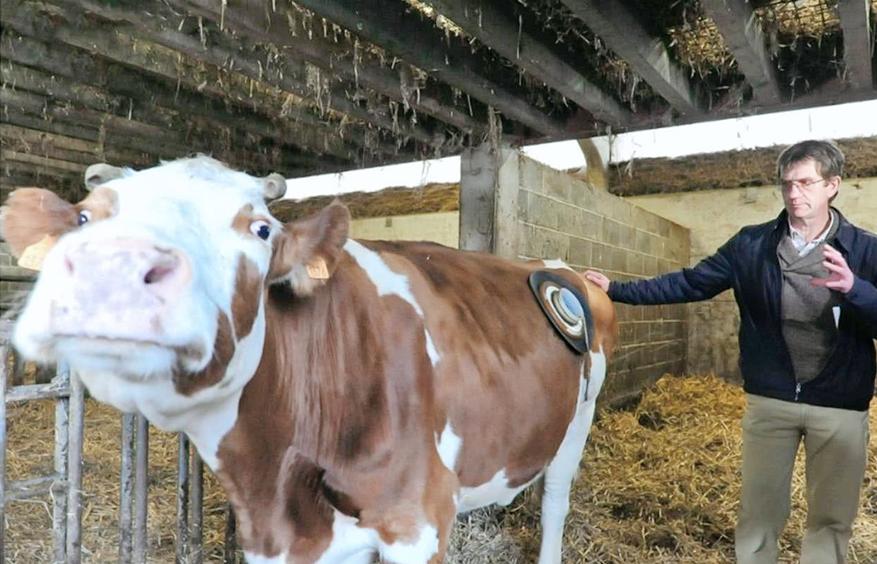 水稻种植大量排放温室气体,水稻释放甲烷