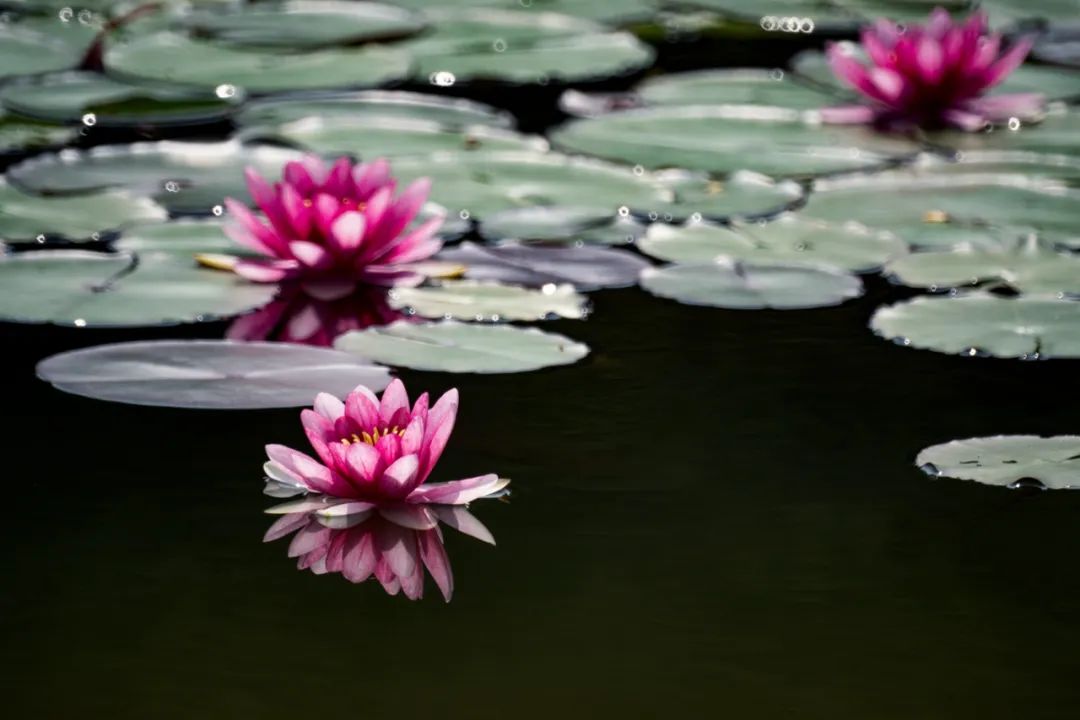 250mm折返镜头,500mm折返镜头焦距是多少