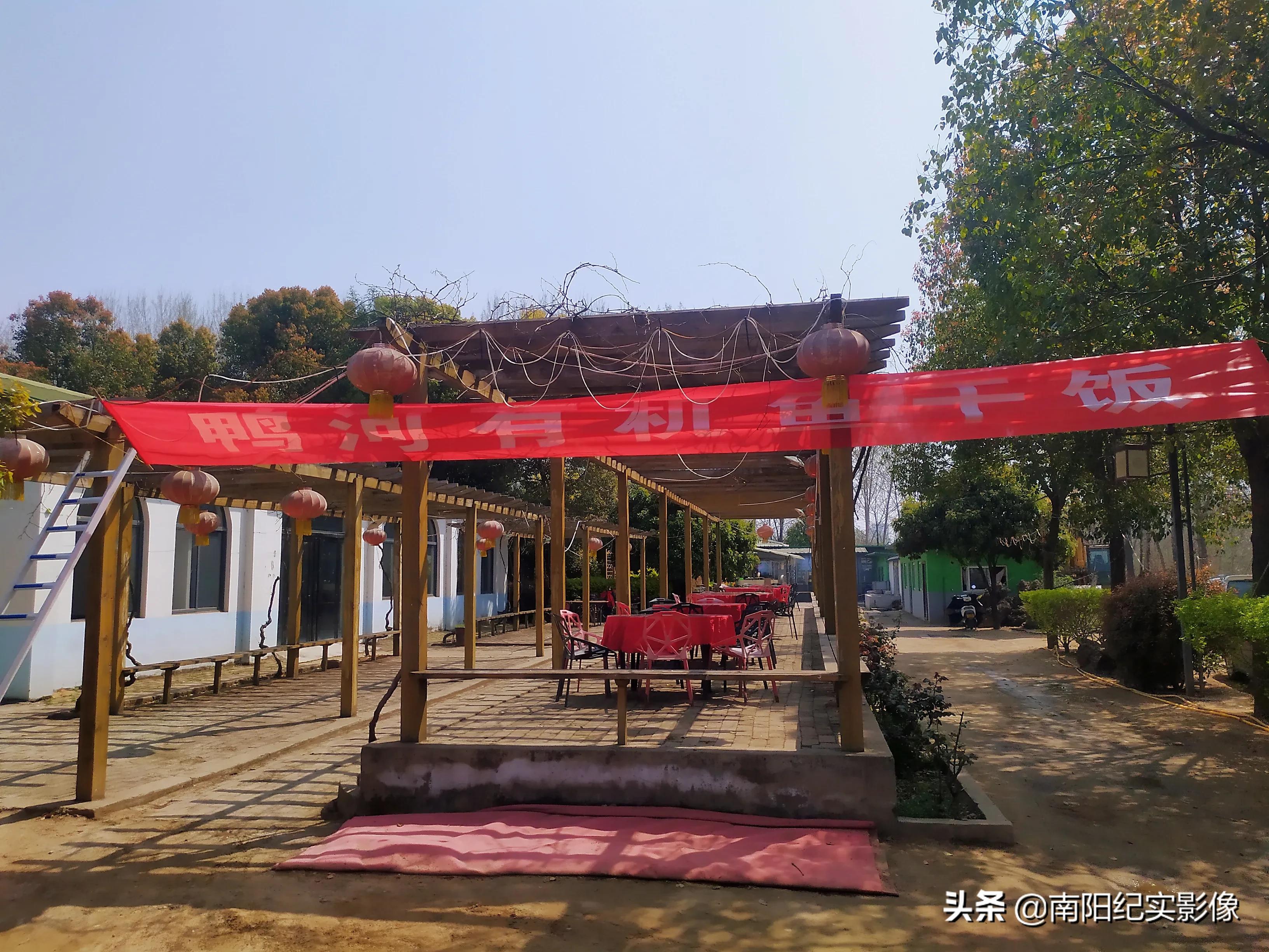 南阳鸭河鱼干饭,南阳鱼干饭哪家好