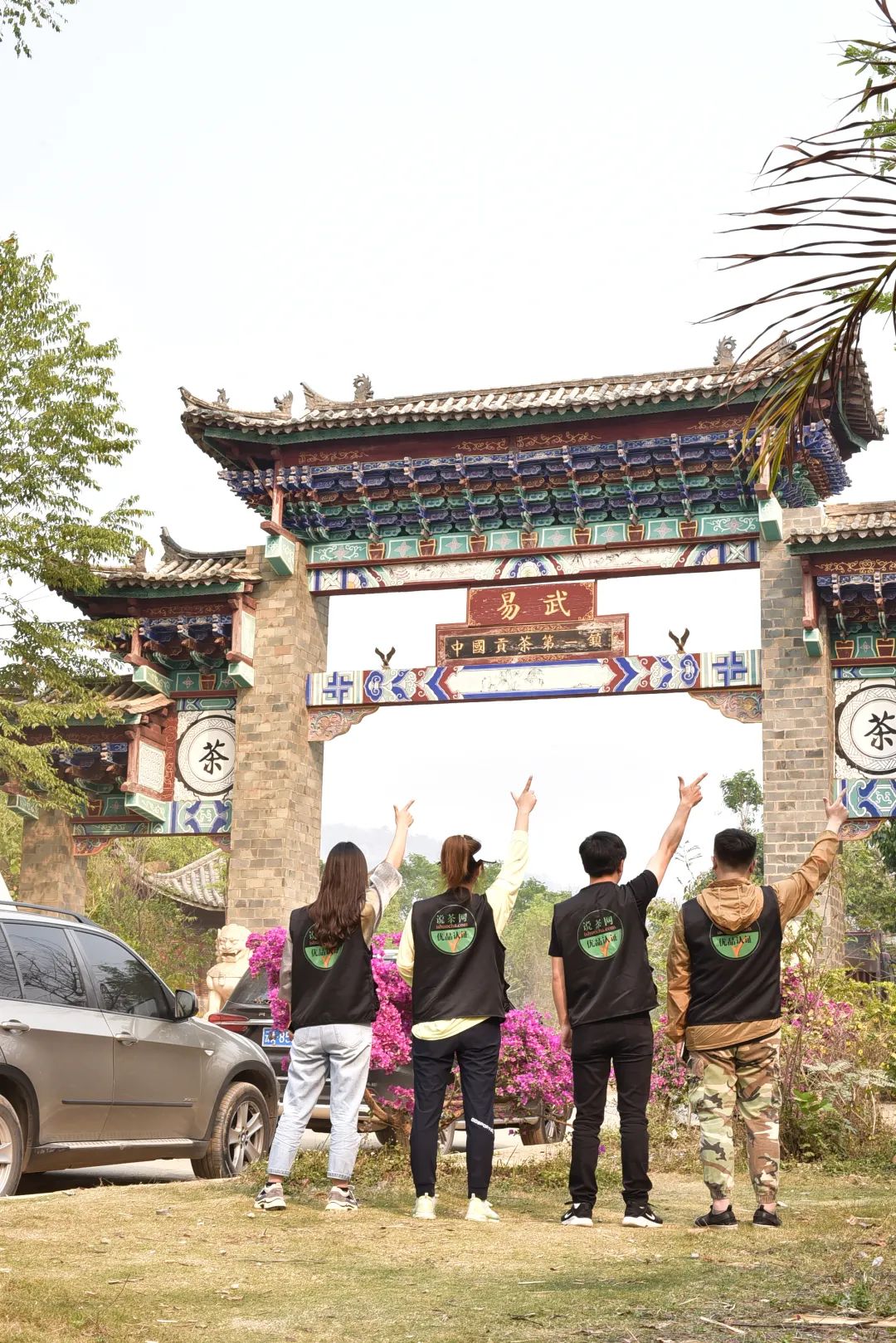 易武茶为什么这么贵啊,易武茶好不好