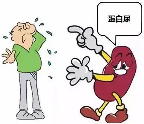 肾炎蛋白尿的中医辨证治疗,蛋白尿控制住了肾炎就稳定了吗