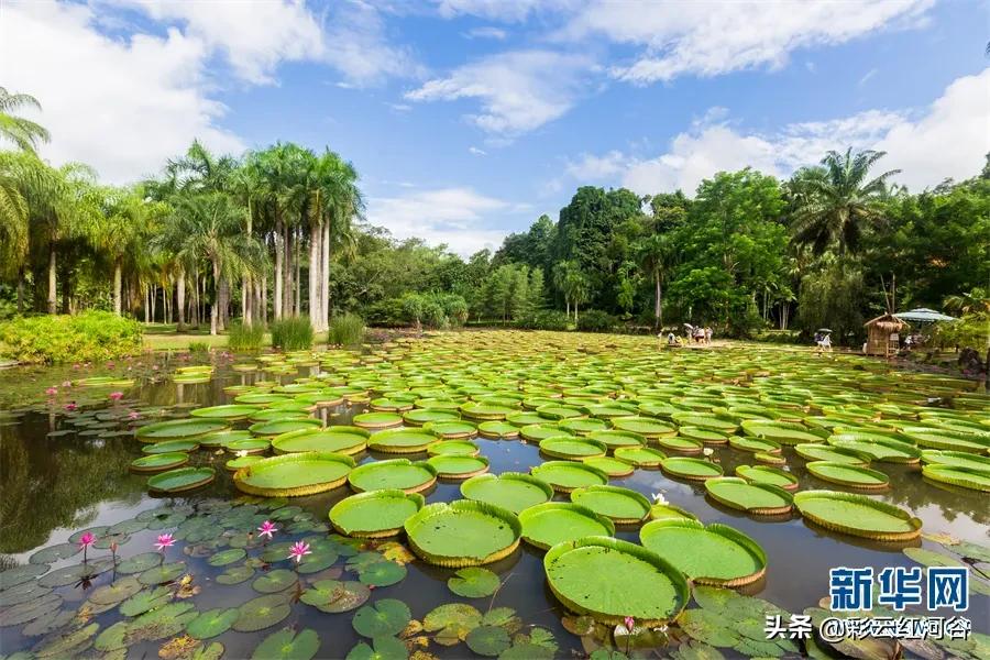 景洪夜景最好的地方,景洪边境是在什么地方