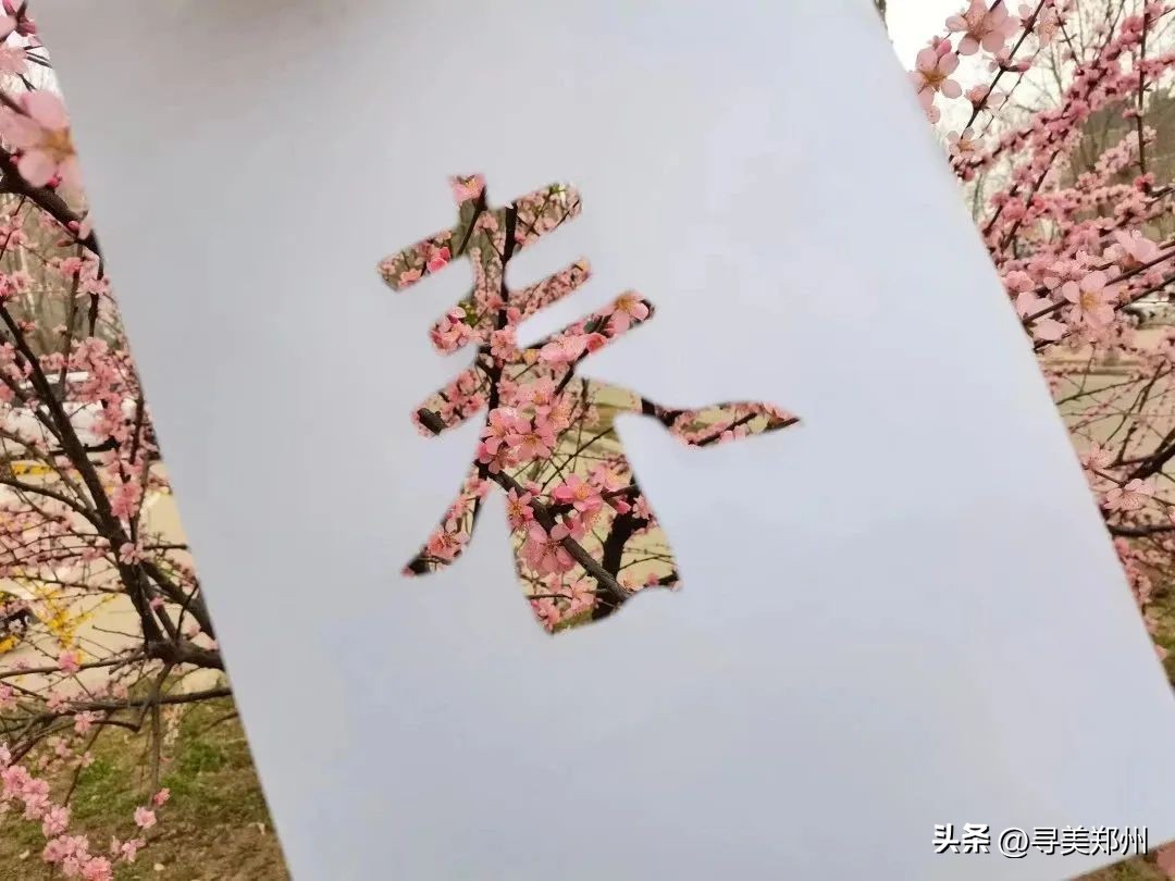 河南科技大学春景,河南科技职业大学校园春景