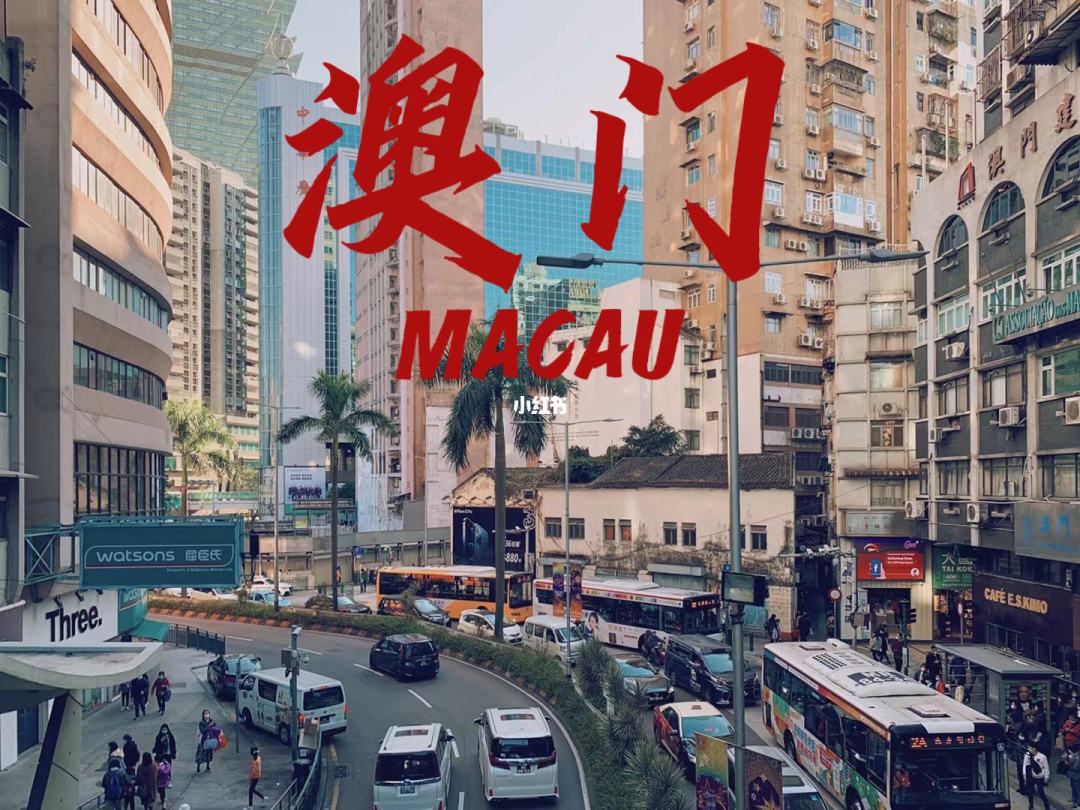 张子强悍匪执行枪决,世纪贼王张子强执行死刑真实画面