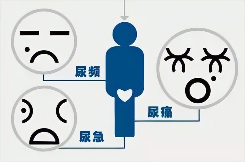 前列腺钙化是怎么引发的?有什么表现?怎么治疗?医生:一文讲清