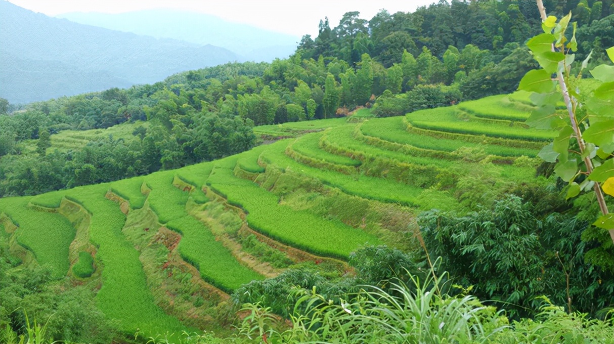 十大田园诗词排行榜,孟浩然过故人庄全诗欣赏
