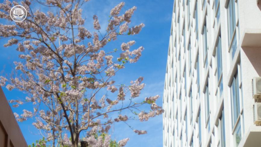 北京第二外国语学院30周年,北京第二外国语学院宣讲会