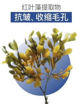 女士保湿控油推荐,夏日清爽控油好物推荐