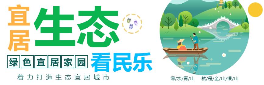 抓住机遇植树造林改善生态,四措施并举推进植树造林