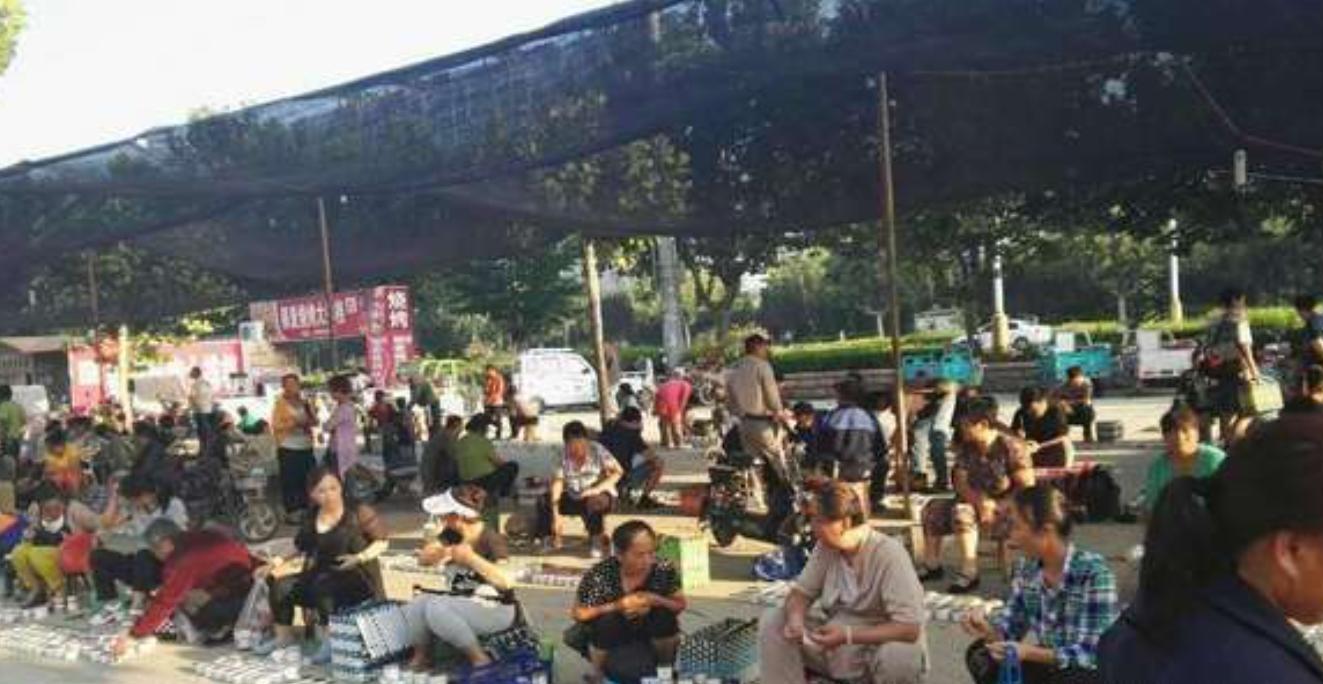 山东小古镇蟋蟀卖出3个亿,山东蟋蟀农村交易