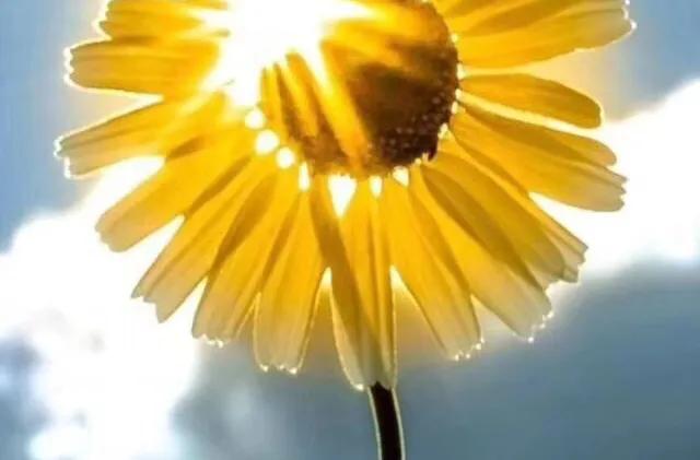 被迫加班,被迫加班的人